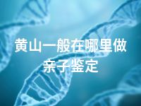 黄山一般在哪里做亲子鉴定
