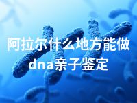 阿拉尔什么地方能做dna亲子鉴定