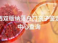 西双版纳落户口亲子鉴定中心查询