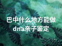 巴中什么地方能做dna亲子鉴定
