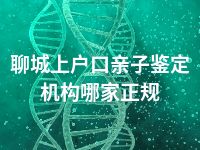聊城上户口亲子鉴定机构哪家正规