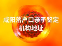 咸阳落户口亲子鉴定机构地址