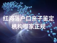 红河落户口亲子鉴定机构哪家正规