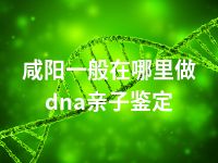 咸阳一般在哪里做dna亲子鉴定