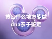 黄山什么地方能做dna亲子鉴定