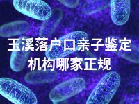 玉溪落户口亲子鉴定机构哪家正规