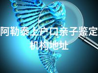 阿勒泰上户口亲子鉴定机构地址