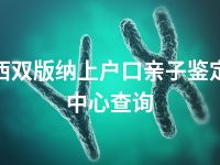 西双版纳上户口亲子鉴定中心查询
