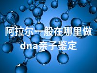 阿拉尔一般在哪里做dna亲子鉴定