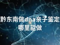 黔东南做dna亲子鉴定哪里能做