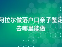 阿拉尔做落户口亲子鉴定去哪里能做