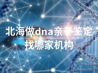 北海做dna亲子鉴定找哪家机构