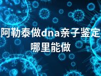 阿勒泰做dna亲子鉴定哪里能做