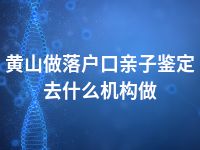 黄山做落户口亲子鉴定去什么机构做