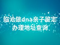 临沧做dna亲子鉴定办理地址查询