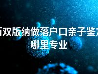 西双版纳做落户口亲子鉴定哪里专业