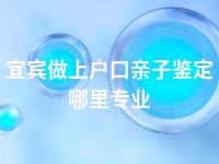 宜宾做上户口亲子鉴定哪里专业