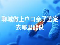 聊城做上户口亲子鉴定去哪里能做