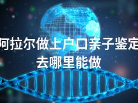 阿拉尔做上户口亲子鉴定去哪里能做