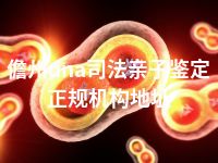 儋州dna司法亲子鉴定正规机构地址