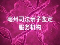 亳州司法亲子鉴定服务机构