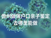 儋州做落户口亲子鉴定去哪里能做