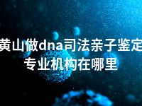 黄山做dna司法亲子鉴定专业机构在哪里