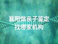 襄阳做亲子鉴定找哪家机构