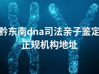 黔东南dna司法亲子鉴定正规机构地址