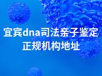 宜宾dna司法亲子鉴定正规机构地址