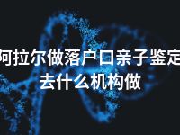 阿拉尔做落户口亲子鉴定去什么机构做