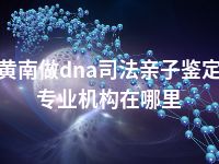 黄南做dna司法亲子鉴定专业机构在哪里