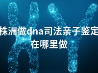 株洲做dna司法亲子鉴定在哪里做