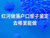 红河做落户口亲子鉴定去哪里能做