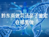 黔东南做司法亲子鉴定在哪里做