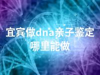 宜宾做dna亲子鉴定哪里能做