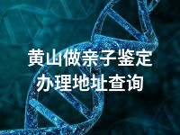 黄山做亲子鉴定办理地址查询