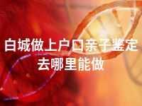 白城做上户口亲子鉴定去哪里能做