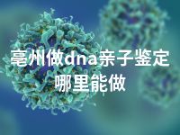 亳州做dna亲子鉴定哪里能做