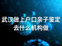 武汉做上户口亲子鉴定去什么机构做