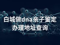 白城做dna亲子鉴定办理地址查询