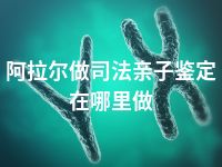 阿拉尔做司法亲子鉴定在哪里做