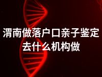 渭南做落户口亲子鉴定去什么机构做