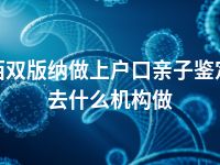西双版纳做上户口亲子鉴定去什么机构做