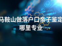 马鞍山做落户口亲子鉴定哪里专业