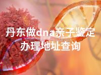 丹东做dna亲子鉴定办理地址查询