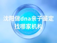 沈阳做dna亲子鉴定找哪家机构