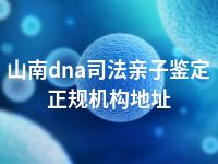 山南dna司法亲子鉴定正规机构地址
