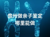 儋州做亲子鉴定哪里能做