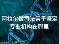 阿拉尔做司法亲子鉴定专业机构在哪里